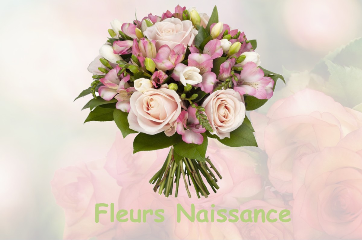 fleurs naissance GOGNIES-CHAUSSEE